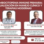 White and Purple Modern Professional Business Webinar Instagram Post (1366 x 355 px) (Presentación)