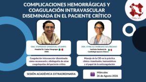 White and Purple Modern Professional Business Webinar Instagram Post (1366 x 355 px) (Presentación) (2)